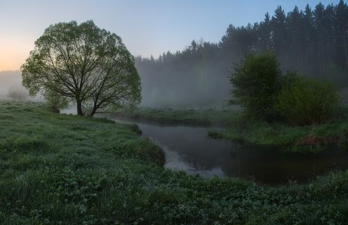 Утро на берегу лесной реки....