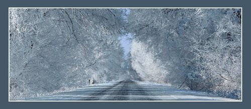 Зима на Юге России:)