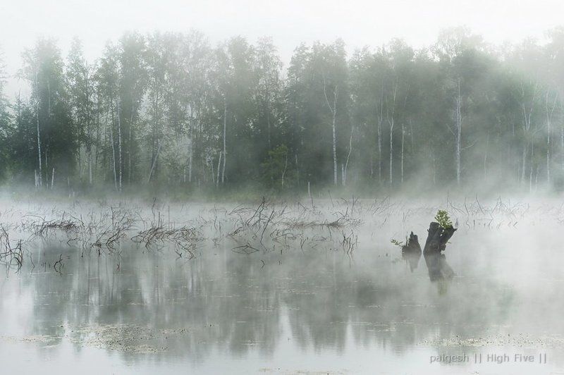 Утро туманное автор. Утро туманное утро седое живопись. Небо туманное утро седое. Утро туманное утро седое доброе утро. Утро туманное утро седое иллюстрация.