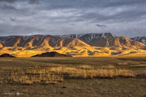 Золото Монгольских гор