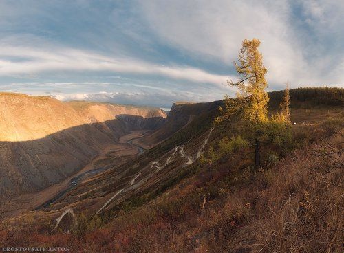 Алтай, долина реки Чулышман