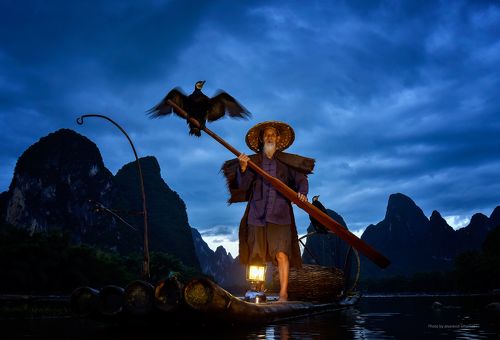 Cormorant fishing on the Li River, China