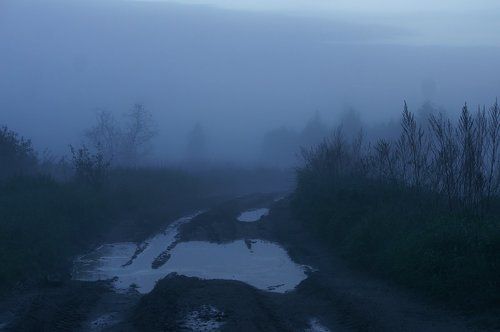 Туман на проселочной дороге