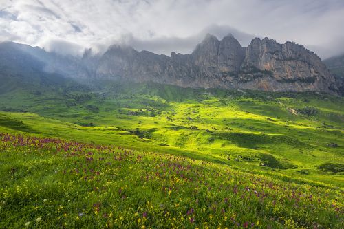Альпийские луга Осетии.