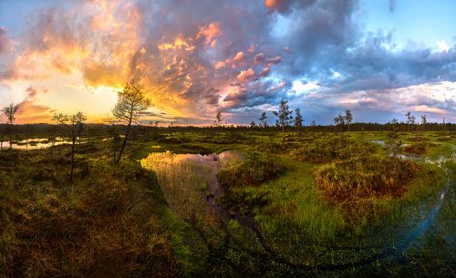 Ленинградские болота, или красочный закат.