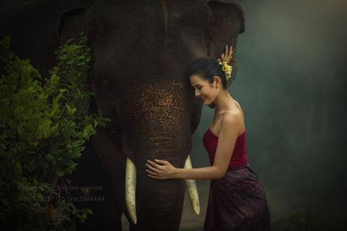 Lady with elephant