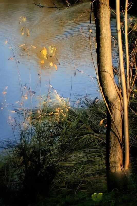 монокль, природа, пруд Поник камыш, но не беда.. Нарядна синяя вода... В листве последней солнца свет... Такой у осени сюжет...photo preview