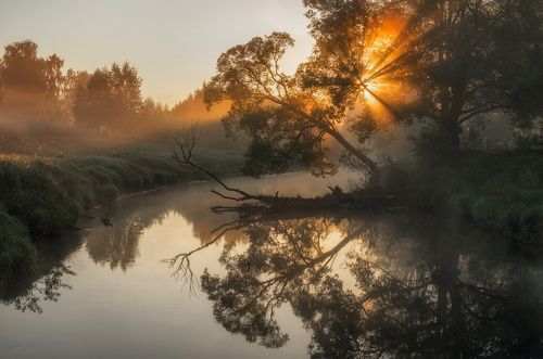 Ранним утром на реке Истра