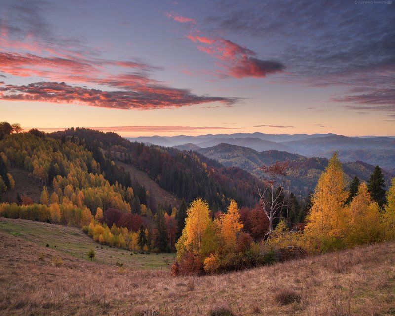 Горы, Карпаты, Осень ***photo preview