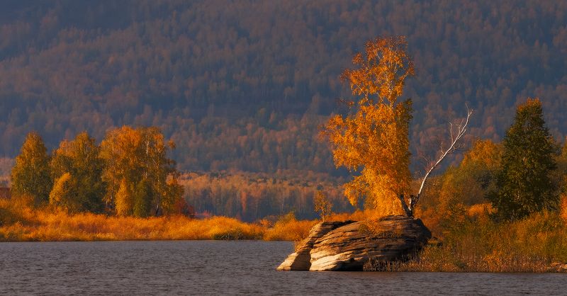 аргази, золотая осень, озеро, осень Закат в золотом заливеphoto preview