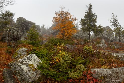 осень на вершине горы Качканар, Средний Урал