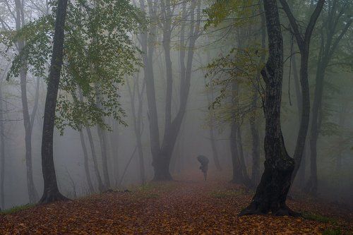 Осень в Кизиловке