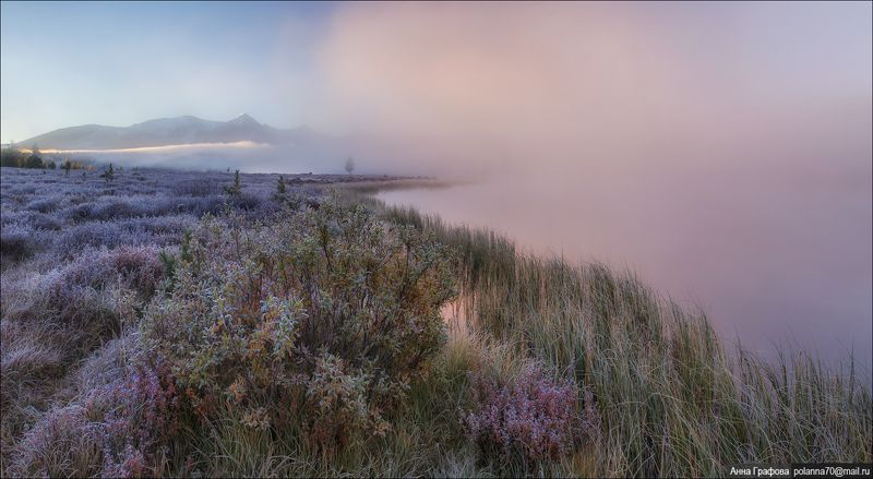 алтай, горы, горный алтай, улаганский перевал, киделю, утро, осень, аня графова Рассвет, туман, изморозь...photo preview