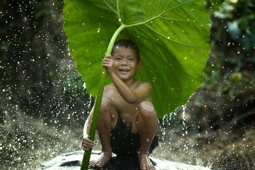 The freshness of the children rural in the rainy season.