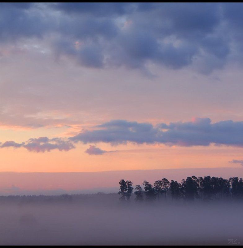 утро, туман, прохлада photo preview