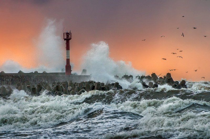 море, балтика, балтийск, шторм, На Балтике - штормphoto preview