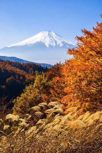 Autumn mountain and Mt Fuji with mist