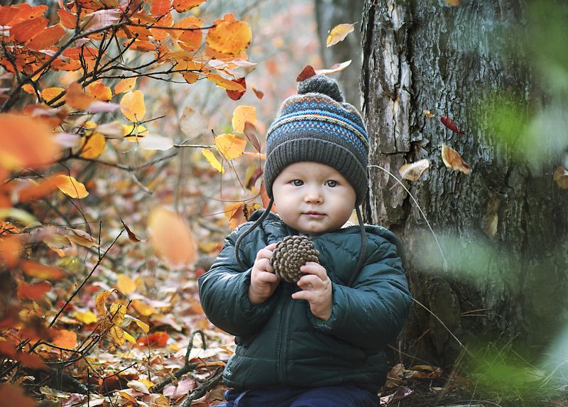 Первая осень малышаphoto preview