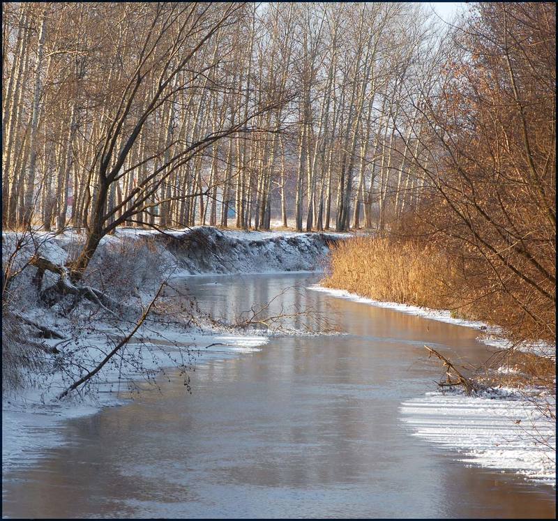 Застывшая река зимой