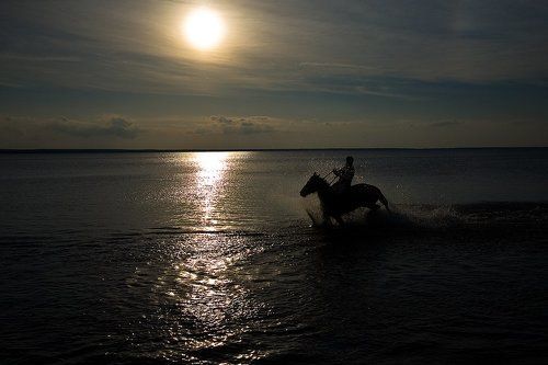 Фото навеянное творчеством Кузьмы Петрова-Водкина... или купание, условно красного, коня...
