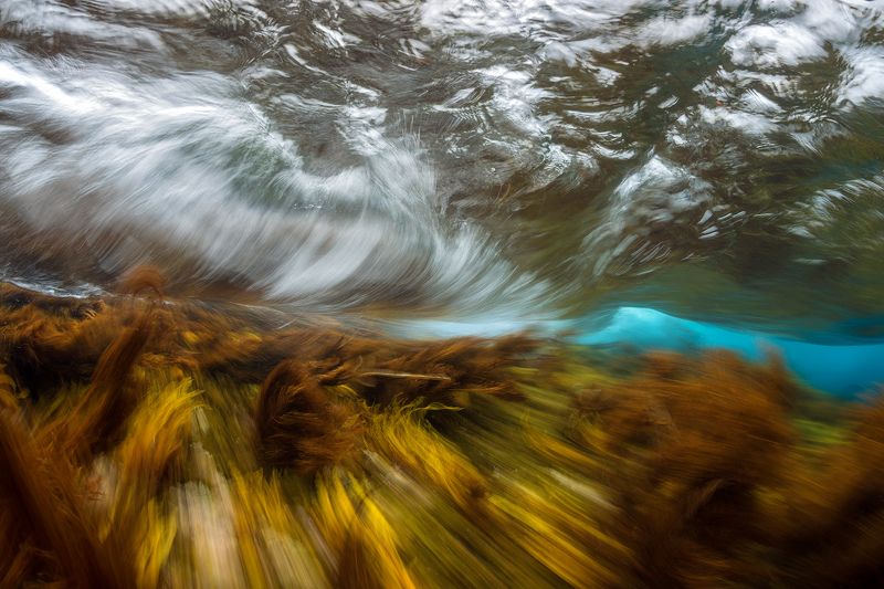 Монерон, подводное фото, underwater Осенний штормphoto preview