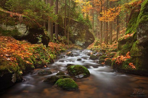 Small river in autumn colors
