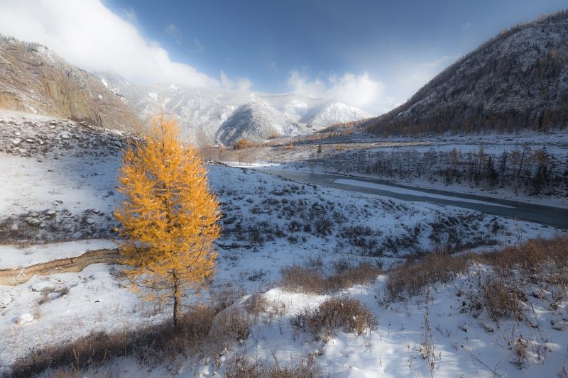 Горный Алтай, Чуя, вода, бирюза, снег, лиственницы, горы На чуйских берегах...photo preview
