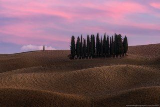 Италия. Тоскана. Кипарисовый остров на закате в San Quirico d'Orcia