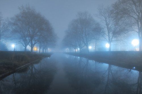 В вечернем тумане