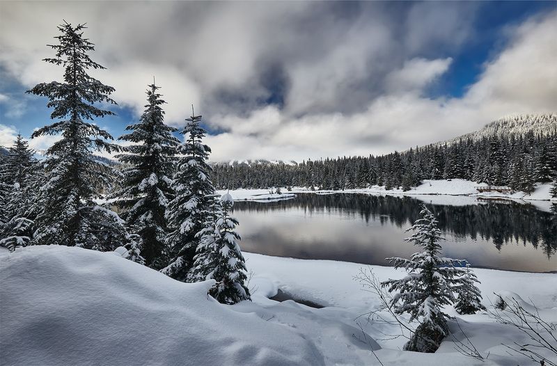 зима, озеро, отражение, снег, белый, пейзаж, лес, деревья Gold Greek Pondphoto preview