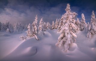 Кудесница зима