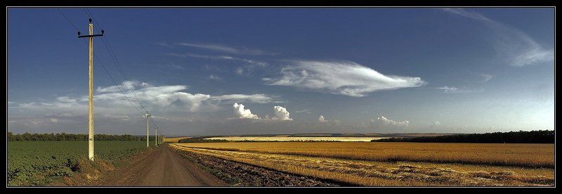 ростовская область, лето, поля Поля направо, поля налево...photo preview