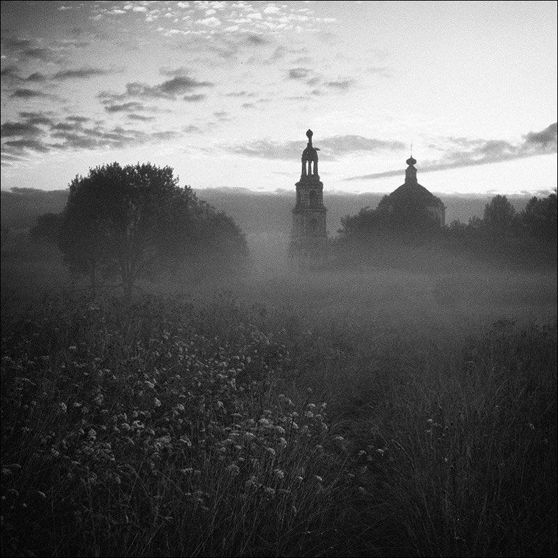 Цветы у дороги к церкви в Кузнецово летним утромphoto preview