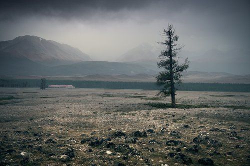 Непогода в Курайской степи / Foul weather in the Kurai steppe