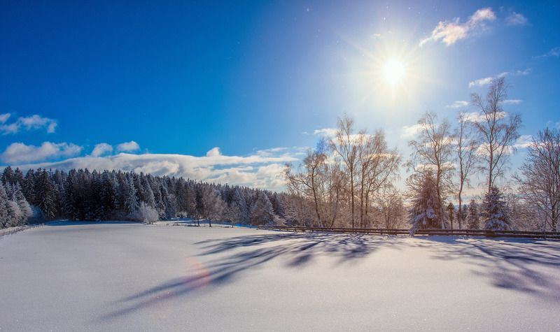 sun ,forest,tree,trees,snow,shadows,winter,sky,blue,clouds,frosty,cold,january,landscape,nature,germany,bayern Snow with blue sky..photo preview