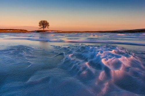 Зимний пейзаж с одиноким деревом