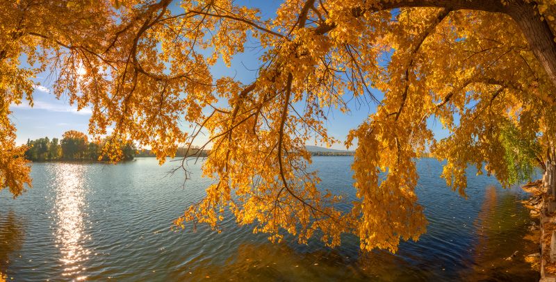 осень Янтарный этюдphoto preview