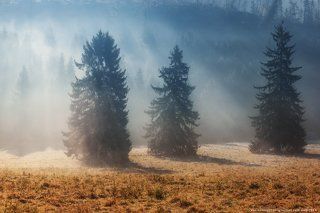 Словакия. Осеннее утро у Западных Татр