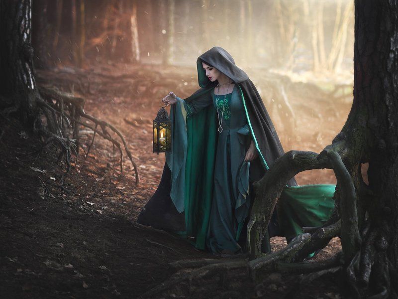 dark  twilight fairytale medieval stylization Twilightphoto preview