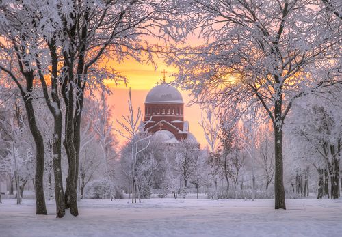 зимний рассвет в Муринском парке...