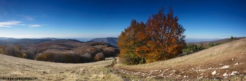 Вид на осень с Лысой горы:)