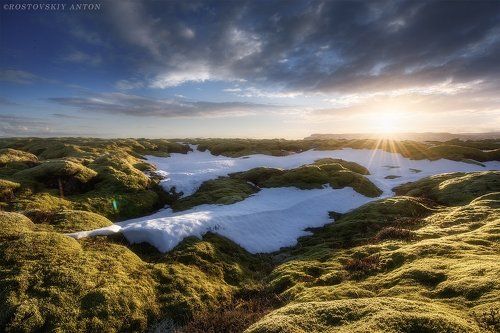 Бархатные ковры Исландии