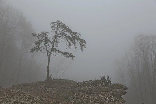 Весенний туман в горах