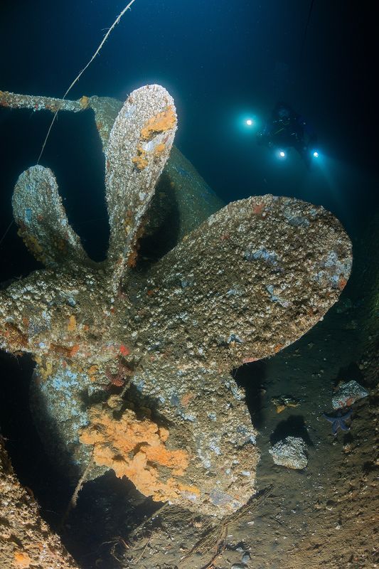 Магадан. Подводная съемкаphoto preview
