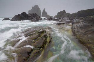 Живое море Охотское