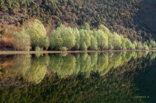 Зеркало Скадарского озера