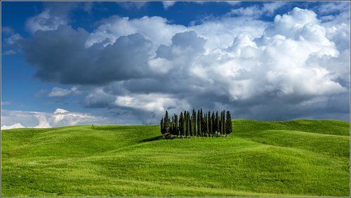 Tuscany Dreams