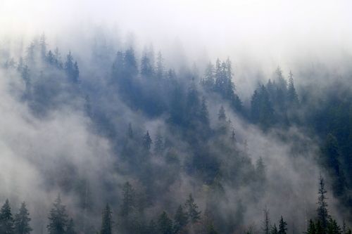 Туман в горах