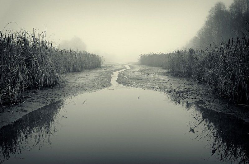 пейзаж, туман, река photo preview