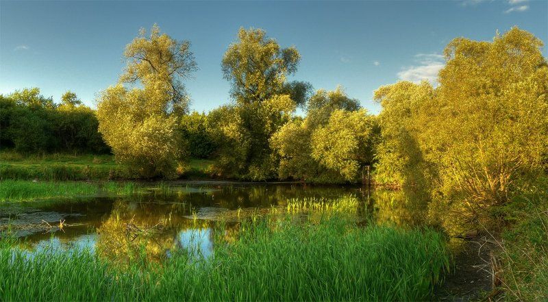панорама, пейзаж, пруд, деревья photo preview
